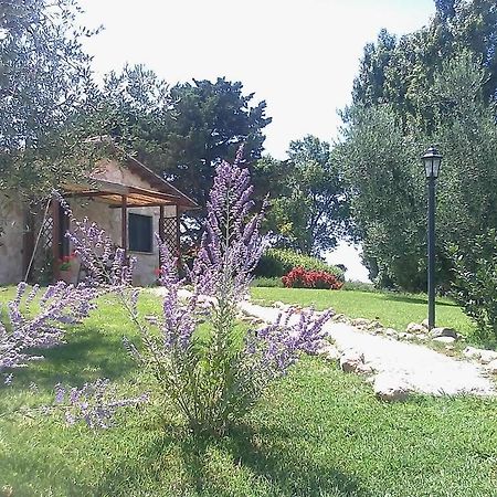 Casale Dinelli Villa Таркиния Стая снимка