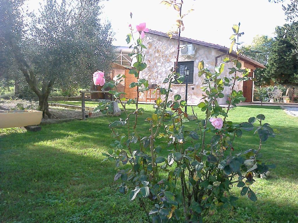 Casale Dinelli Villa Таркиния Стая снимка