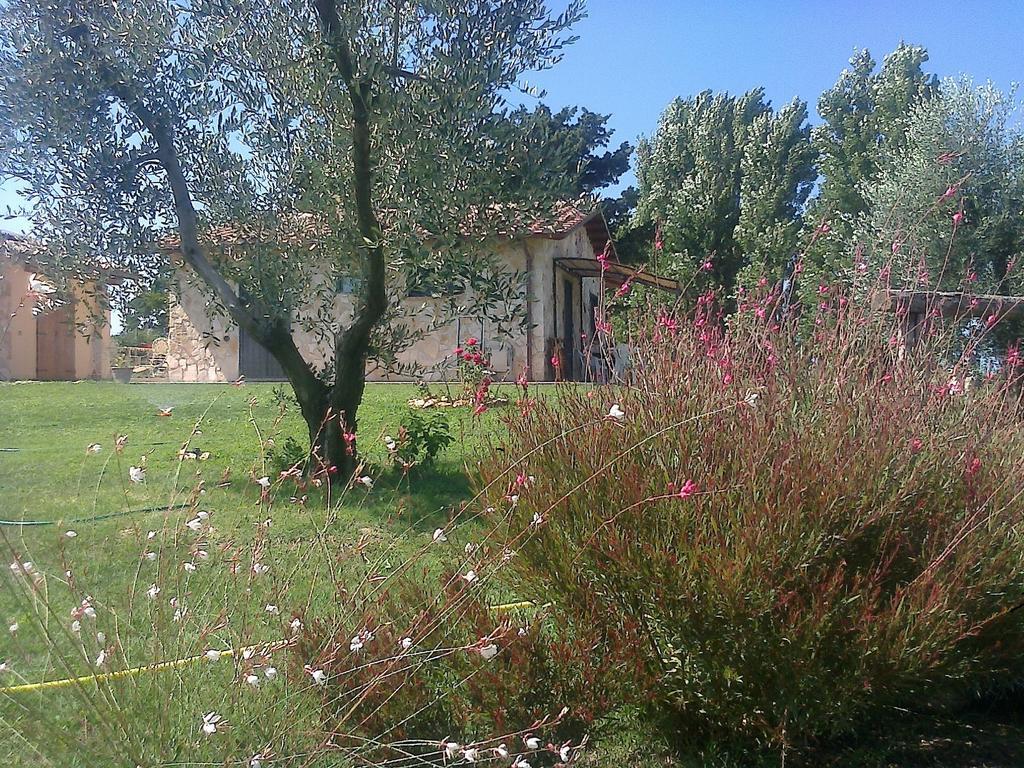 Casale Dinelli Villa Таркиния Стая снимка
